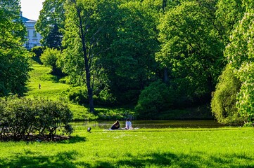 Gardens. fot.   Wojciech Fondalinski