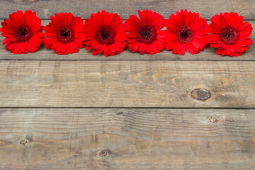 Fototapeta na wymiar red gerbera flowers on wooden background
