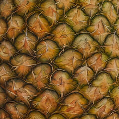 Watercolor fruit pineapple skin texture background image created with generative AI technology