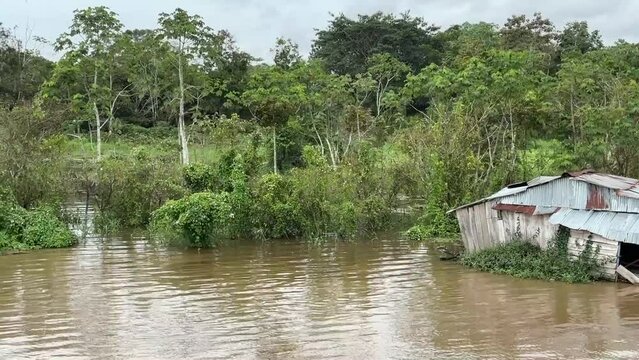Fahrt auf dem Amazonas