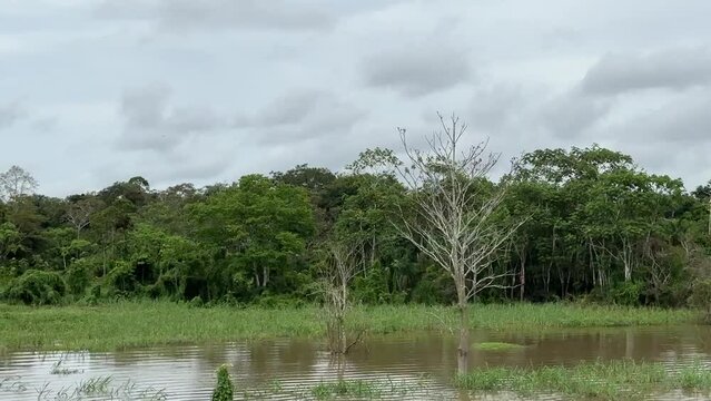Fahrt auf dem Amazonas