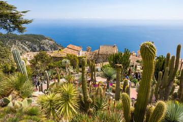 Jardin Exotique d'Eze avec ses plantes succulentes et sa vue plongeante sur la mer