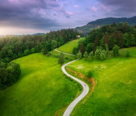 Fototapeta na wymiar Aerial view of road in green alpine meadows at sunset in summer. Top view from drone of rural road, mountains, forest. Beautiful landscape with roadway, trees, hills, green grass, purple sky. Slovenia