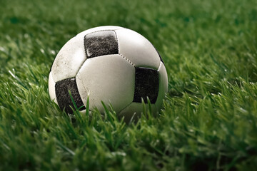 Generative AI.soccer ball on green grass outdoors - 601498030