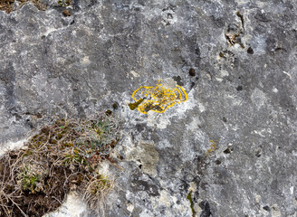the wall is made of natural material, the stone is a limestone material of volcanic origin, close-up.