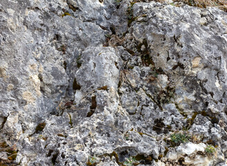 the wall is made of natural material, the stone is a limestone material of volcanic origin, close-up.