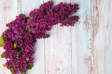 The beautiful lilac on a wooden background