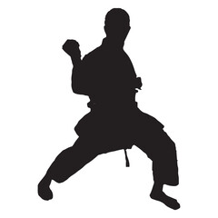 silhouette set, martial arts, jiu jitsu, karate, taekwondo, kung fu, capoeira, fight