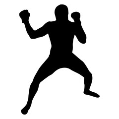 silhouette set, martial arts, jiu jitsu, karate, taekwondo, kung fu, capoeira, fight
