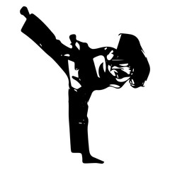 silhouette set, martial arts, jiu jitsu, karate, taekwondo, kung fu, capoeira, fight