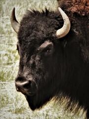 Ready for my closeup