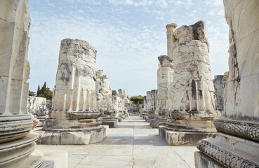 Temple of Apollo at Didyma in Aydun Province, Turkey