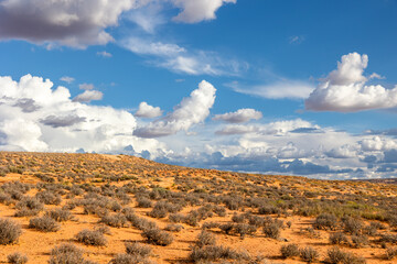 landscape with sky in Arizona
