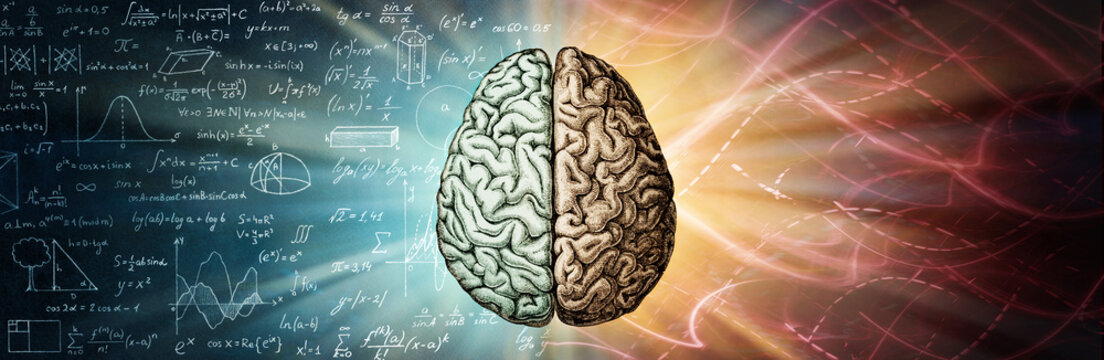The human brain is a creative background. The right creative hemisphere compared to the left logical hemisphere. A concept on the topic of education, science and medicine.