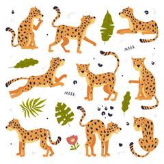 Cute baby leopards set. Beautiful wild predator jungle animals cartoon vector illustration