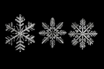 Isolated snowflake delicately suspended on a black background, its intricate crystalline structure shimmering with ethereal beauty. Capturing the essence of winter's magic. Generative AI.