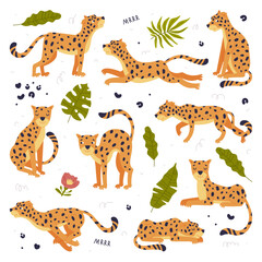 Cute baby leopards set. Adorable wild predator jungle animals in different poses cartoon vector illustration