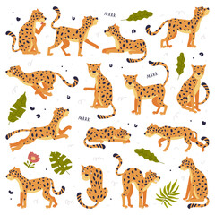 Big set of baby leopards. Cute wild predator jungle animals in different poses cartoon vector illustration