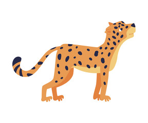 Side view of cute baby leopard. Beautiful wild predator animal cartoon vector illustration