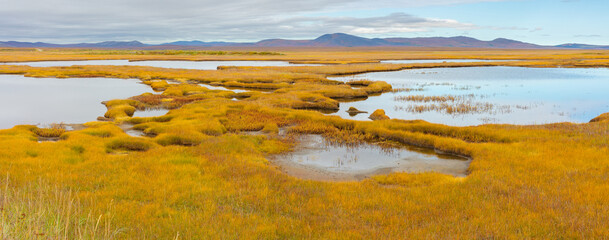 Wetland tundra landscape with lakes in autumn colors in the vicinity of Nome, Alaska, USA
