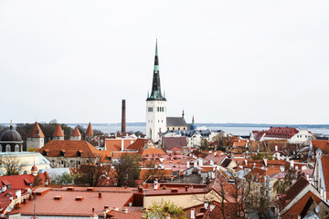 Top view of old Tallinn from the observation deck. Famous view of the old town and St. Olaf's...