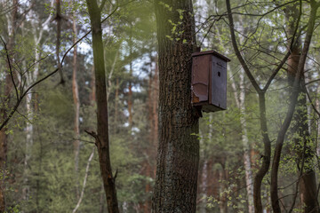 birdhouse on tree