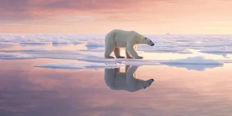 Foto op Canvas The polar bear, also known as the polar bear, is a species of carnivorous mammal in the Ursidae family found in the Arctic Circle. It is the largest known land carnivore and also the largest bear, alo © adelton