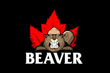 Beaver Animal Cartoon character with maple leaf template © infernal  kiss