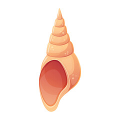 Colorful tropical shell.Summer concept in cartoon style. Vector illustration isolated on white.