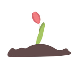 flat icon on white background tulip blooms . 8 March . Women's spring day.