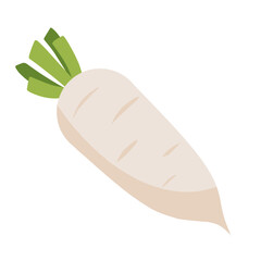 White radish 