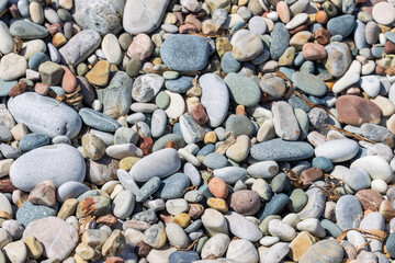 Stones at the Beach 