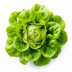 Green fresh lettuce. Illustration AI Generative.