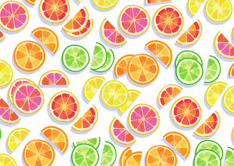 Assorted summer citrus fruits illustration on a white background