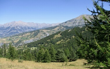 Paysage de montagne en été. Vallée de l'Ubaye, Alpes de Haute Provence, France.