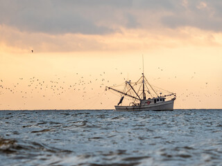 shrimp boat on the water during sunrise surrounded by birds - obrazy, fototapety, plakaty