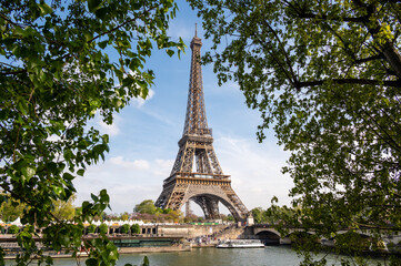 Fototapeta na wymiar The Eiffel Tower in Paris between trees