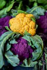 Colorful yellow and purple cauliflowers in natura on a gray surface © Luca