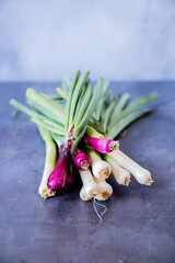 leeks and green onions in natura on a grey surface © Luca