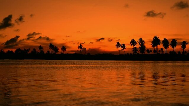 Time lapse of Tropical Sunset with palm trees reflection in the sea water. Porto de Galinhas, Brazil