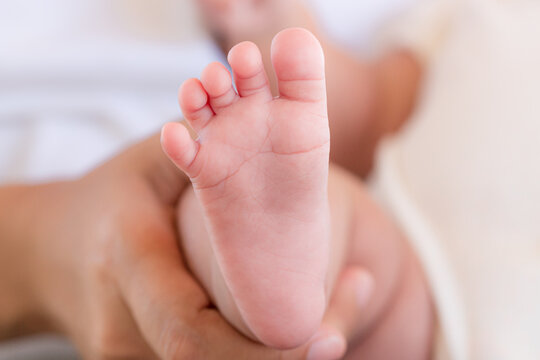 Baby feet,Baby feet in hands, mother, mother and her baby, happy family concept, beautiful conception image of childbirth.