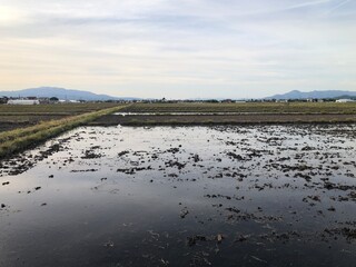 210512田んぼ安塚

田んぼ
山形市安塚