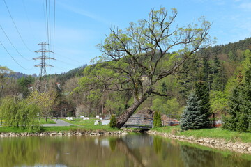 Węgierska Górka staw © Adrian