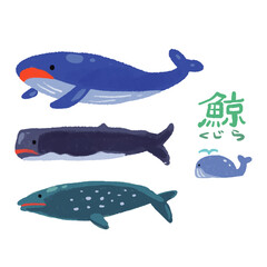 色々なクジラの水彩風イラスト