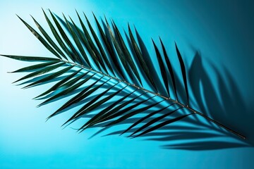 Fototapeta na wymiar Palm Leaf Shadow on Blue Background Generative AI
