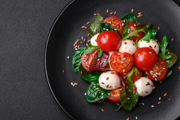 Delicious fresh salad with mozzarella cheese, cherry tomatoes, herbs, salt and spices