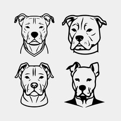 set of Labrador retriever dog faces