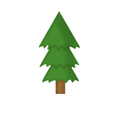 Fototapeta premium Pine tree isolated on white background 
