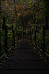 Fototapeta premium 橋