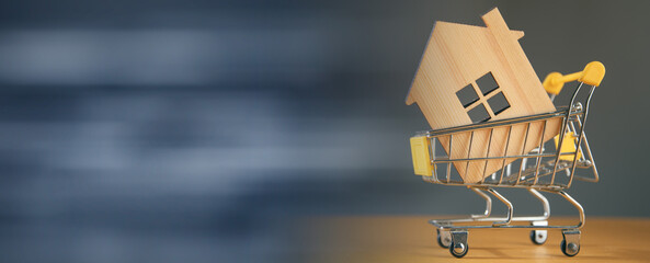 Fototapeta na wymiar wooden house in a shopping trolley